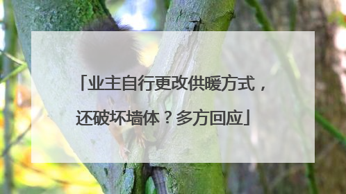 业主自行更改供暖方式，还破坏墙体？多方回应