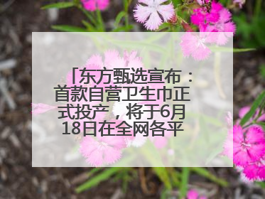 东方甄选宣布：首款自营卫生巾正式投产，将于6月18日在全网各平台开售