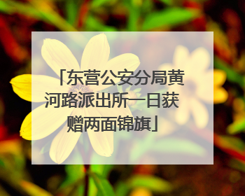 东营公安分局黄河路派出所一日获赠两面锦旗