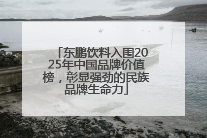 东鹏饮料入围2025年中国品牌价值榜，彰显强劲的民族品牌生命力