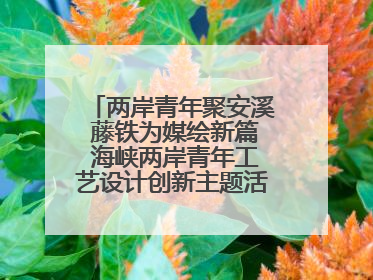 两岸青年聚安溪 藤铁为媒绘新篇 海峡两岸青年工艺设计创新主题活动开幕