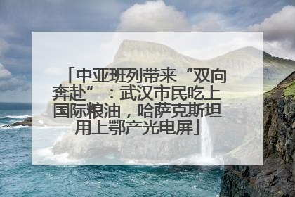 中亚班列带来“双向奔赴”：武汉市民吃上国际粮油，哈萨克斯坦用上鄂产光电屏