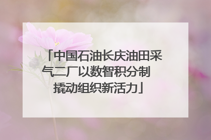 中国石油长庆油田采气二厂以数智积分制 撬动组织新活力