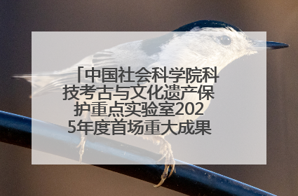 中国社会科学院科技考古与文化遗产保护重点实验室2025年度首场重大成果发布会在京举行
