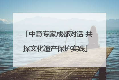 中意专家成都对话 共探文化遗产保护实践