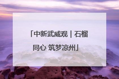 中新武威观｜石榴同心 筑梦凉州