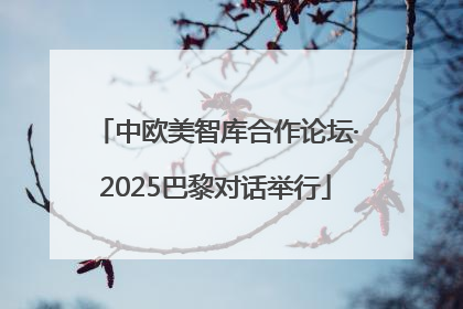中欧美智库合作论坛·2025巴黎对话举行
