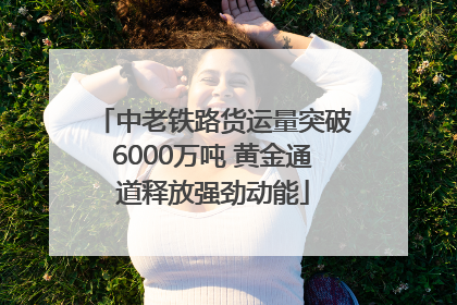 中老铁路货运量突破6000万吨 黄金通道释放强劲动能