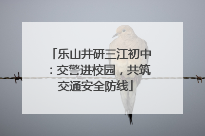 乐山井研三江初中：交警进校园，共筑交通安全防线