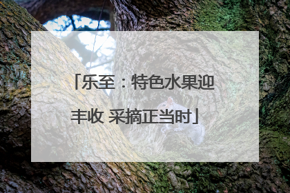 乐至：特色水果迎丰收 采摘正当时