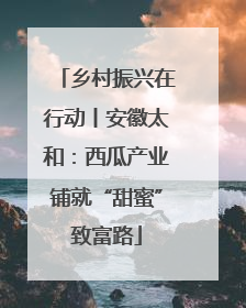 乡村振兴在行动丨安徽太和：西瓜产业铺就“甜蜜”致富路
