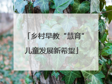 乡村早教“慧育”儿童发展新希望