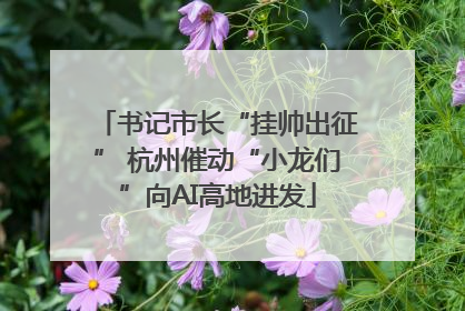 书记市长“挂帅出征” 杭州催动“小龙们”向AI高地进发