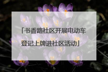 书香路社区开展电动车登记上牌进社区活动