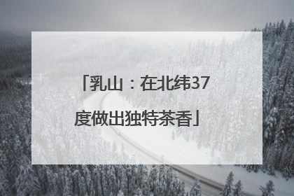 乳山：在北纬37度做出独特茶香