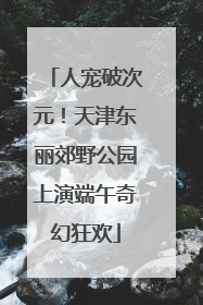 人宠破次元！天津东丽郊野公园上演端午奇幻狂欢
