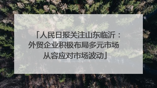 人民日报关注山东临沂：外贸企业积极布局多元市场 从容应对市场波动