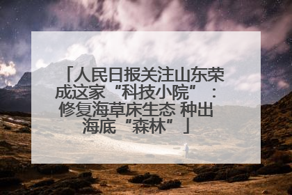 人民日报关注山东荣成这家“科技小院”：修复海草床生态 种出海底“森林”