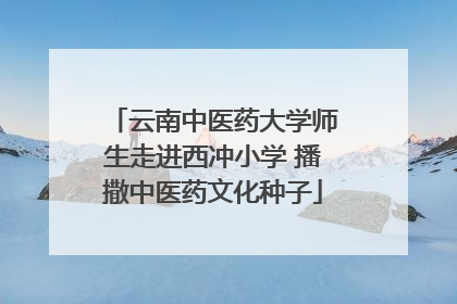 云南中医药大学师生走进西冲小学 播撒中医药文化种子