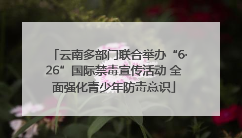 云南多部门联合举办“6·26”国际禁毒宣传活动 全面强化青少年防毒意识