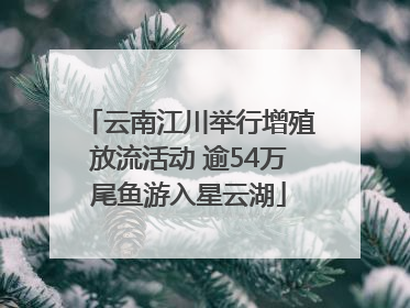 云南江川举行增殖放流活动 逾54万尾鱼游入星云湖