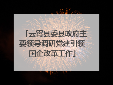 云霄县委县政府主要领导调研党建引领国企改革工作