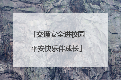 交通安全进校园 平安快乐伴成长