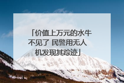 价值上万元的水牛不见了 民警用无人机发现其踪迹