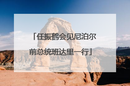 任振鹤会见尼泊尔前总统班达里一行