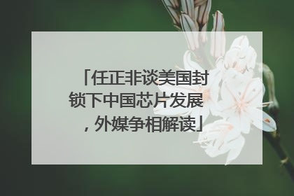 任正非谈美国封锁下中国芯片发展，外媒争相解读