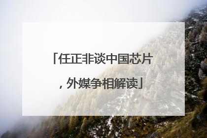 任正非谈中国芯片，外媒争相解读