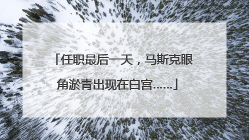 任职最后一天，马斯克眼角淤青出现在白宫……
