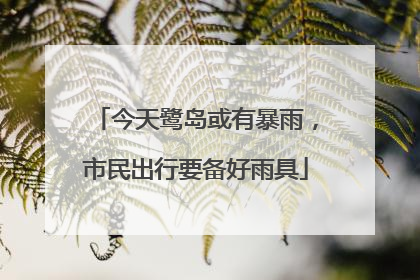 今天鹭岛或有暴雨，市民出行要备好雨具