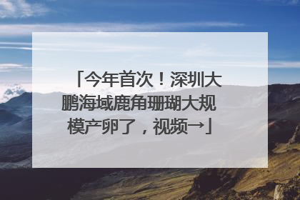 今年首次！深圳大鹏海域鹿角珊瑚大规模产卵了，视频→