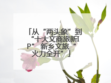 从“两头象”到“十大文商旅新IP” 新乡文旅“火力全开”