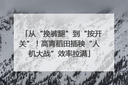 从“挽裤腿”到“按开关”！高青稻田插秧“人机大战”效率拉满