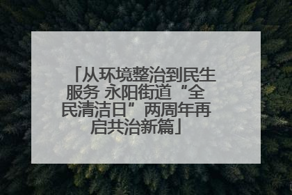从环境整治到民生服务 永阳街道“全民清洁日”两周年再启共治新篇