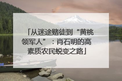 从迷途赌徒到“黄桃领军人”：肖石明的高素质农民蜕变之路