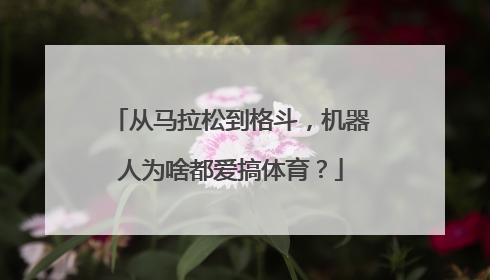 从马拉松到格斗，机器人为啥都爱搞体育？