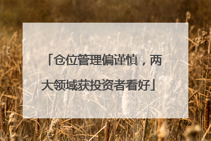 仓位管理偏谨慎，两大领域获投资者看好