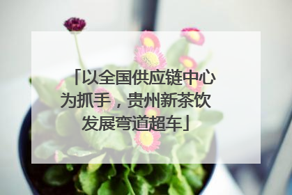 以全国供应链中心为抓手，贵州新茶饮发展弯道超车