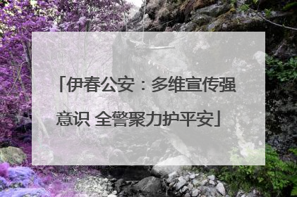 伊春公安：多维宣传强意识 全警聚力护平安