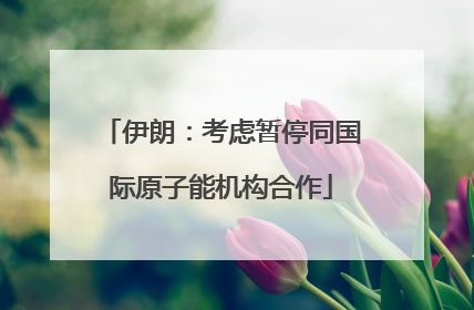 伊朗：考虑暂停同国际原子能机构合作