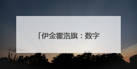 伊金霍洛旗：数字引擎激活“电商+产业带”新标杆