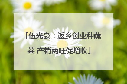 伍光豪：返乡创业种蔬菜 产销两旺促增收
