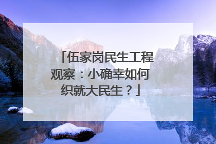 伍家岗民生工程观察：小确幸如何织就大民生？