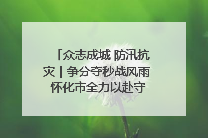 众志成城 防汛抗灾｜争分夺秒战风雨 怀化市全力以赴守护人民群众安全