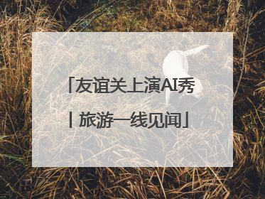 友谊关上演AI秀丨旅游一线见闻