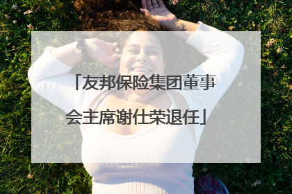 友邦保险集团董事会主席谢仕荣退任