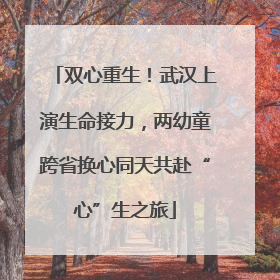 双心重生！武汉上演生命接力，两幼童跨省换心同天共赴“心”生之旅